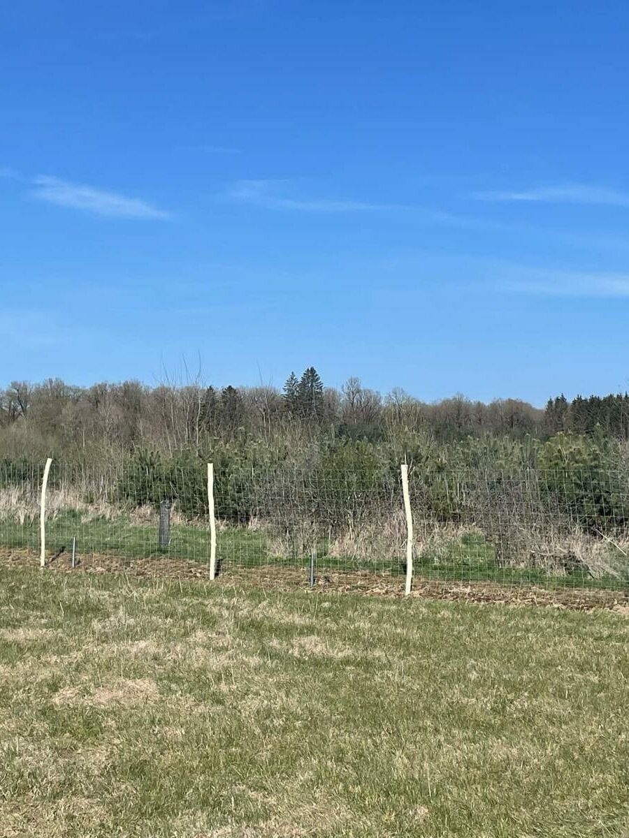 Vue d’un paysage rural